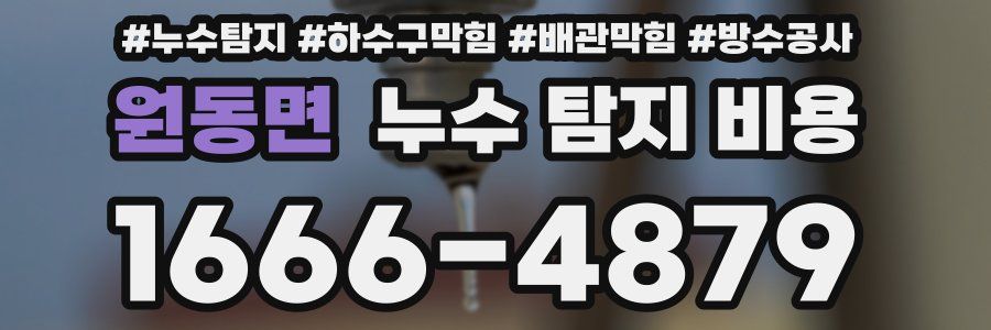 원동면 누수 탐지 비용
