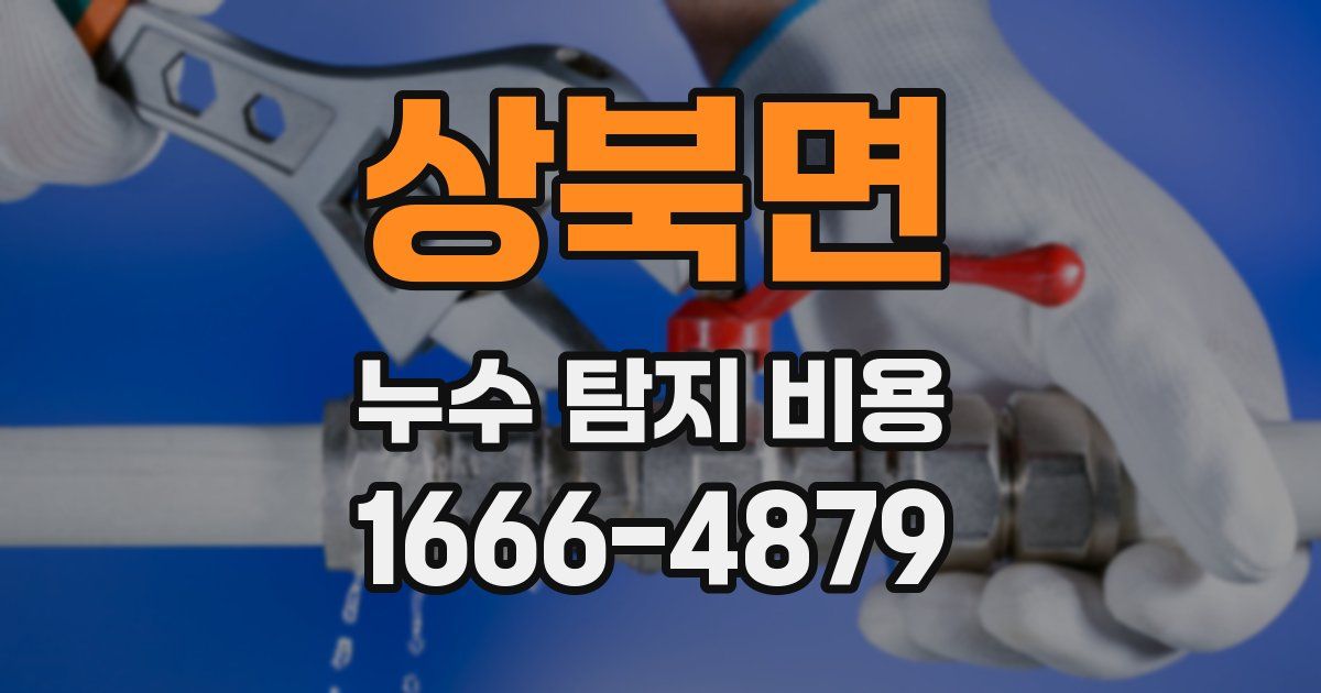 상북면 누수 탐지 비용