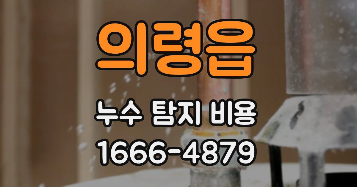 의령읍 누수 탐지 비용