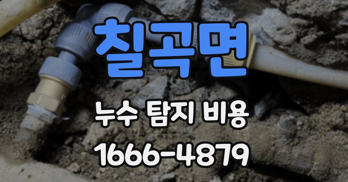 칠곡면 누수 탐지 비용