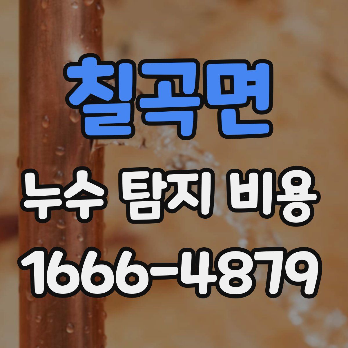 칠곡면 누수 탐지 비용