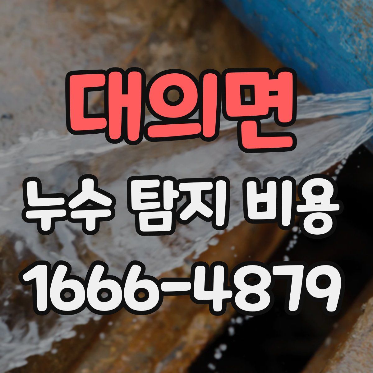 대의면 누수 탐지 비용