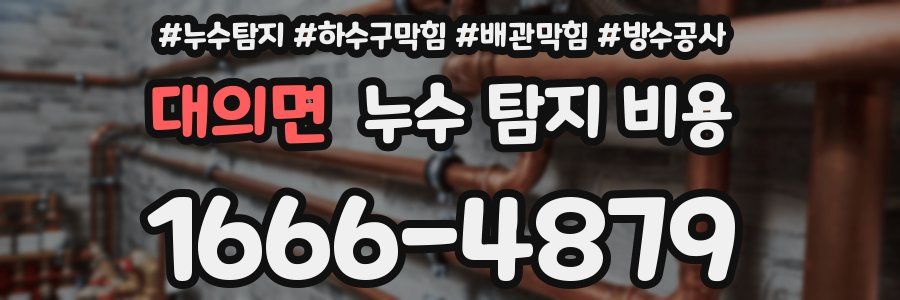 대의면 누수 탐지 비용