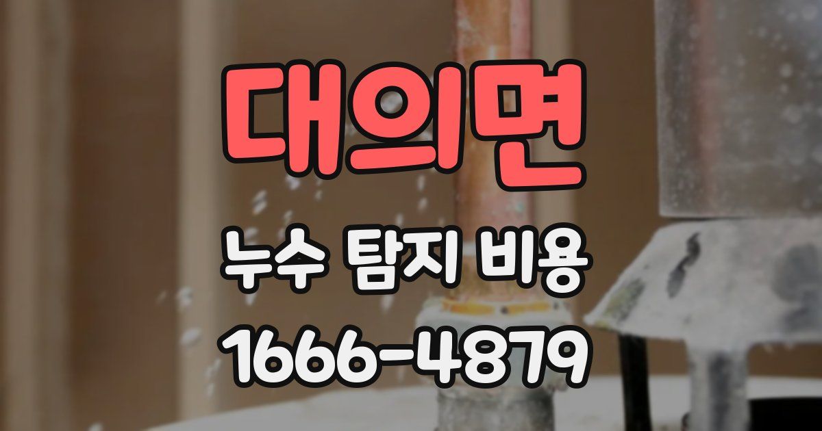 대의면 누수 탐지 비용