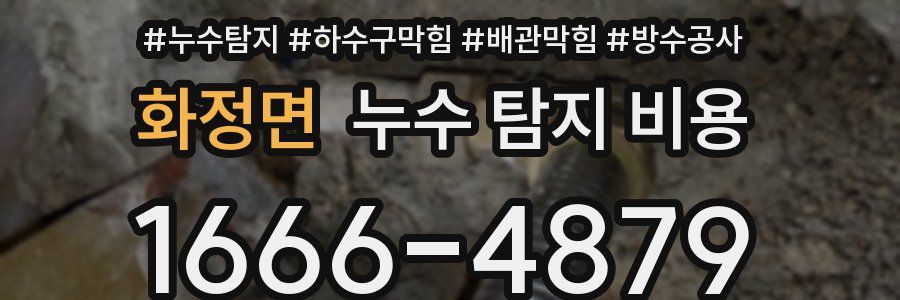 화정면 누수 탐지 비용