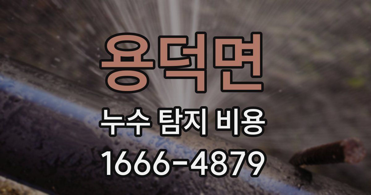 용덕면 누수 탐지 비용