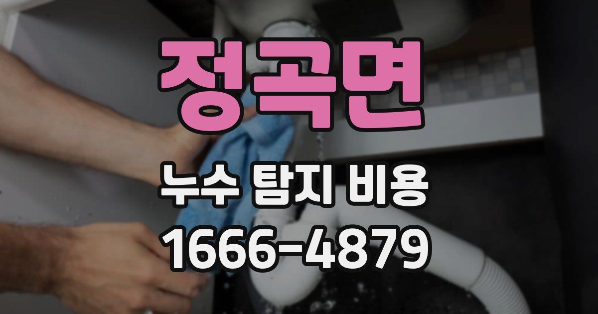 정곡면 누수 탐지 비용