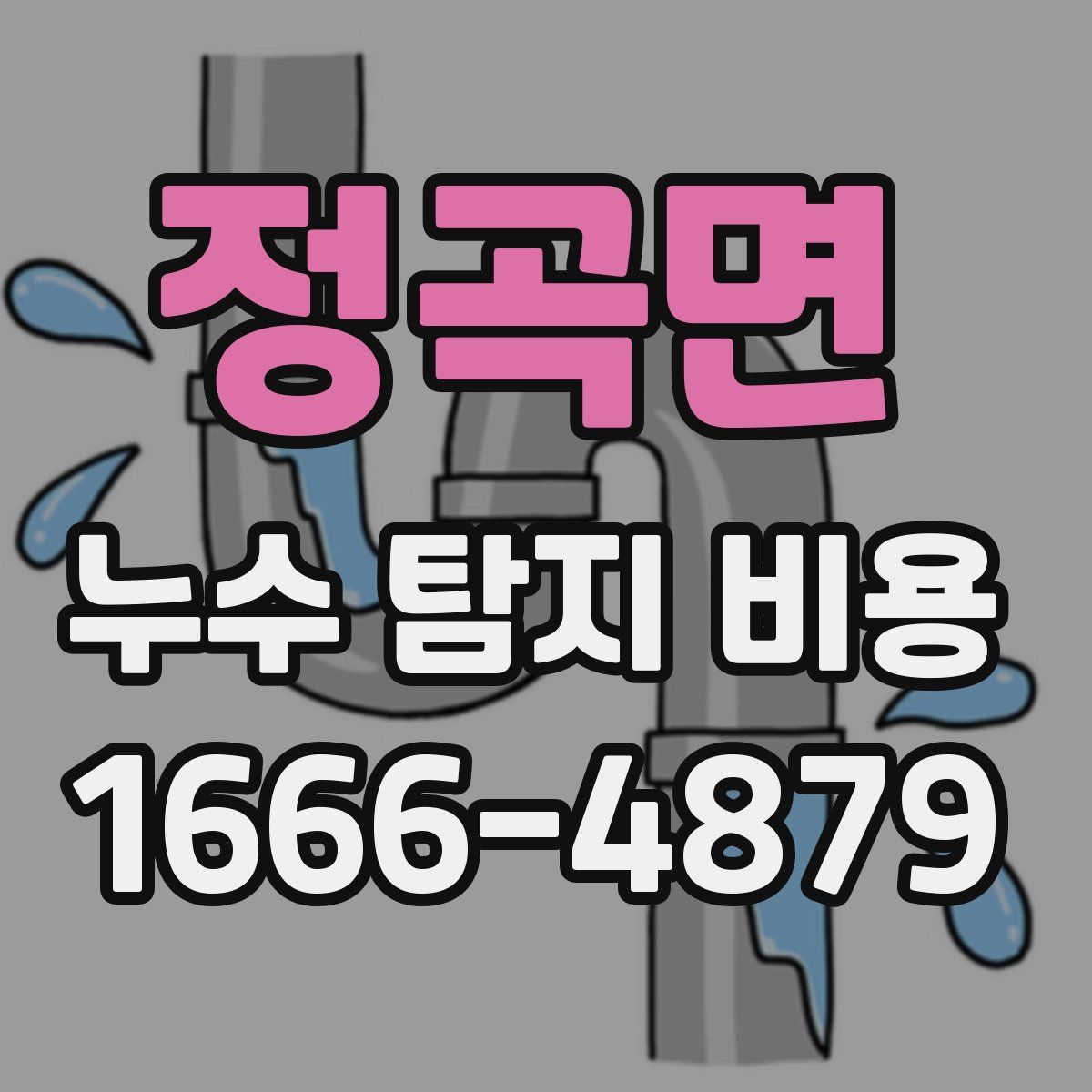 정곡면 누수 탐지 비용