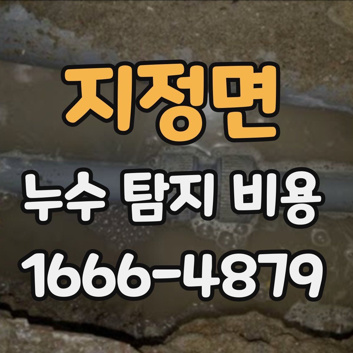 지정면 누수 탐지 비용