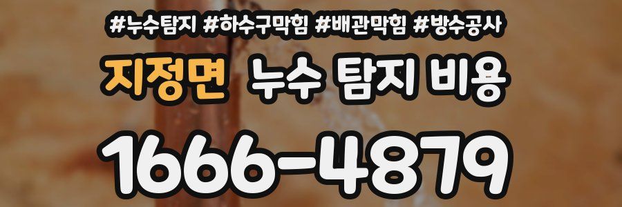 지정면 누수 탐지 비용