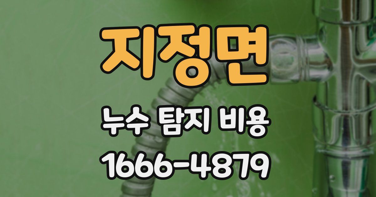 지정면 누수 탐지 비용