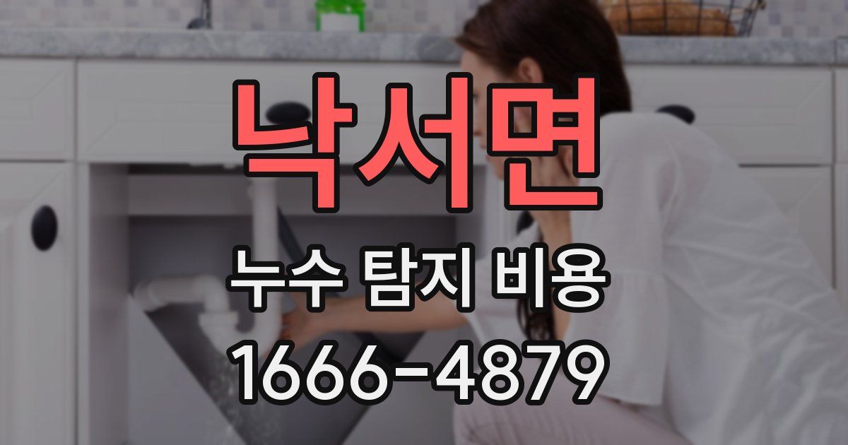 낙서면 누수 탐지 비용