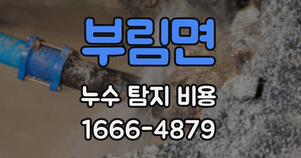 부림면 누수 탐지 비용
