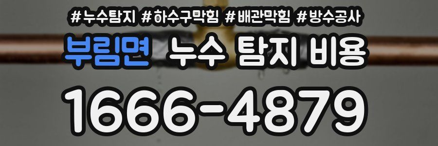 부림면 누수 탐지 비용
