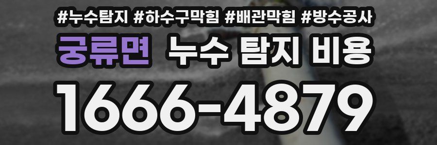 궁류면 누수 탐지 비용