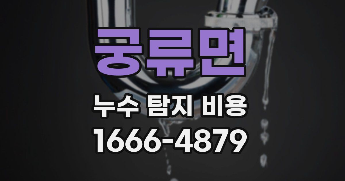 궁류면 누수 탐지 비용