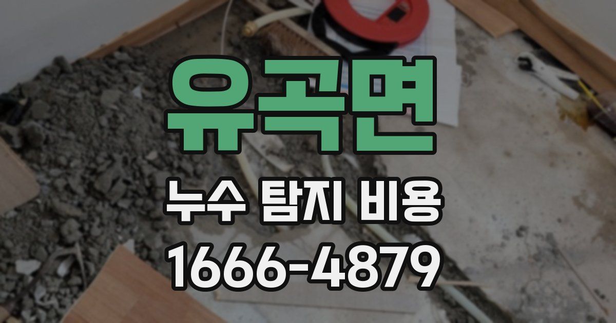 유곡면 누수 탐지 비용