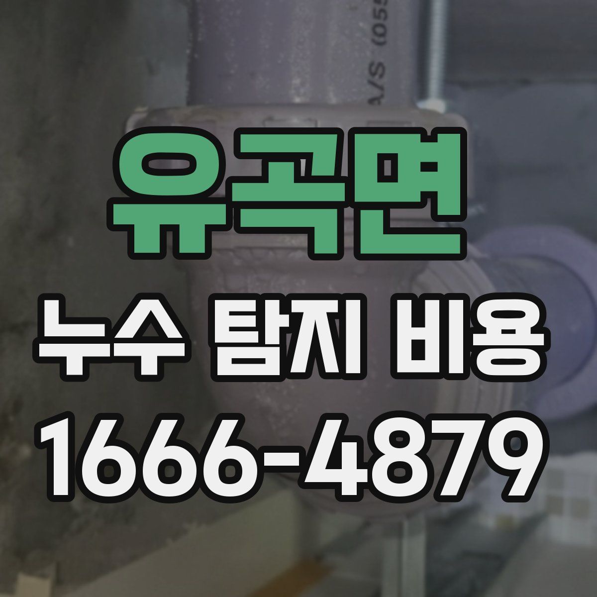 유곡면 누수 탐지 비용