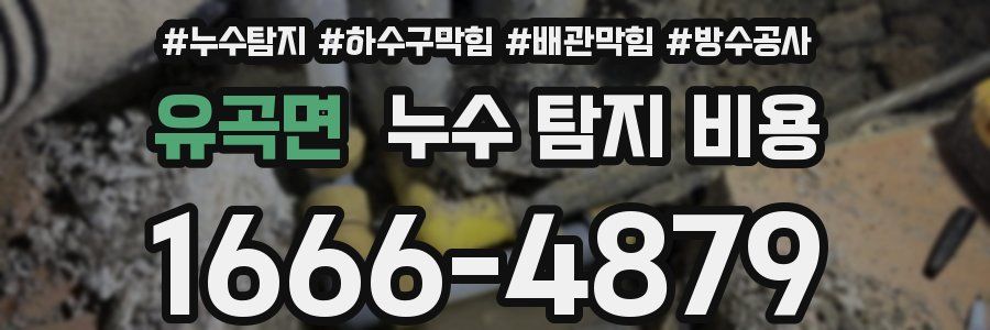 유곡면 누수 탐지 비용