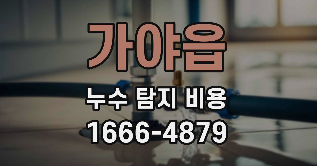가야읍 누수 탐지 비용