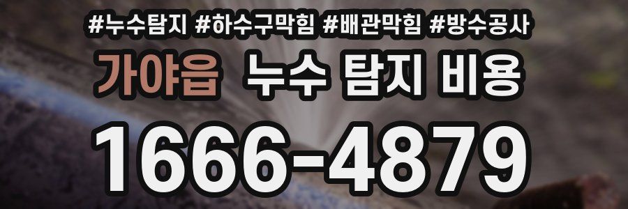 가야읍 누수 탐지 비용