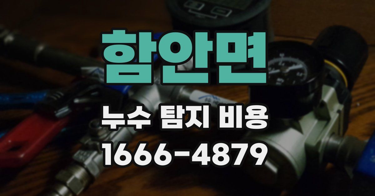함안면 누수 탐지 비용