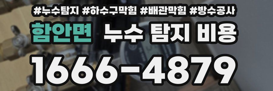 함안면 누수 탐지 비용
