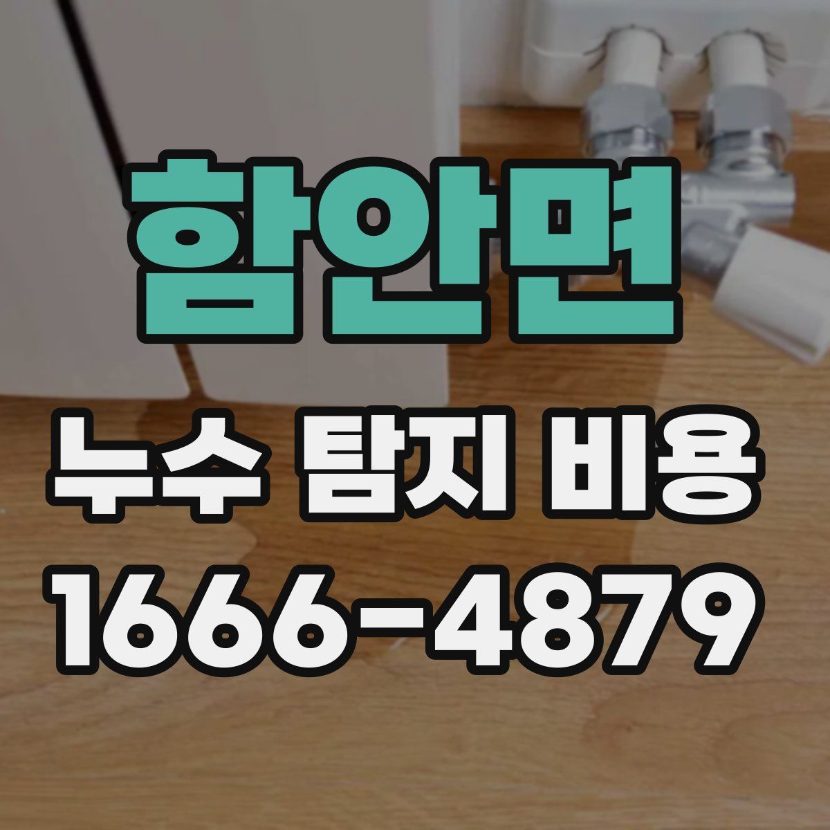함안면 누수 탐지 비용