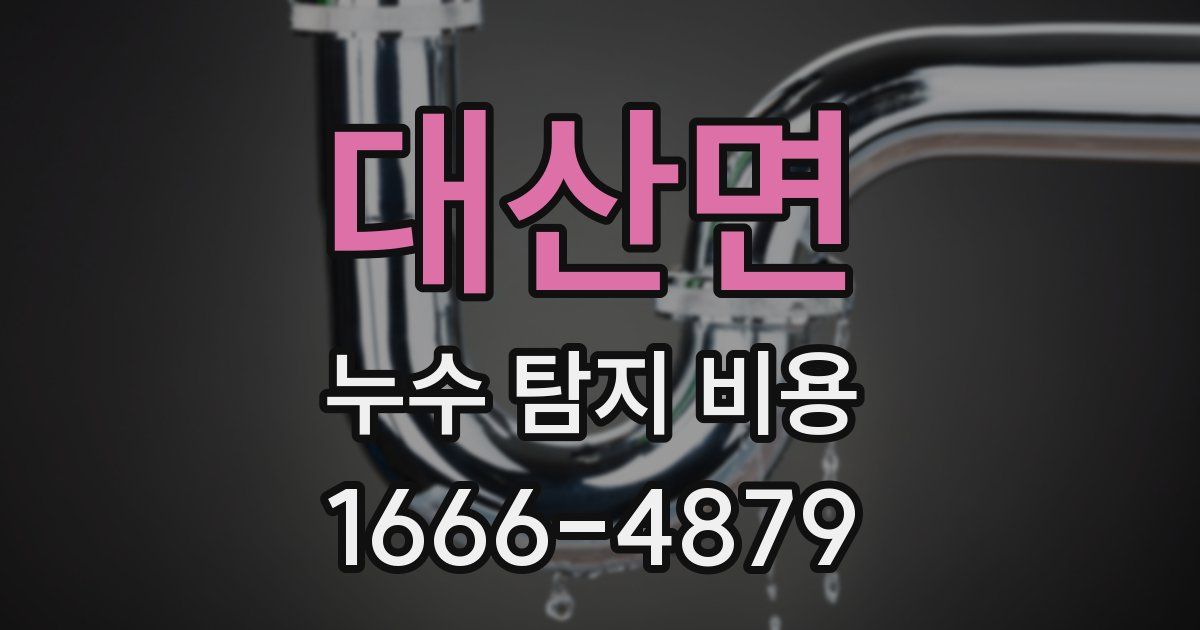 대산면 누수 탐지 비용
