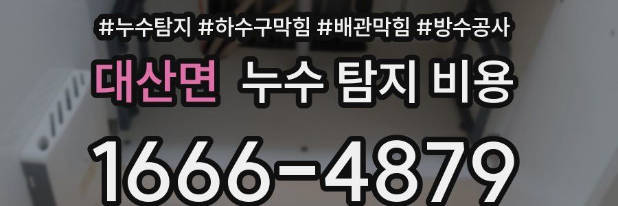 대산면 누수 탐지 비용