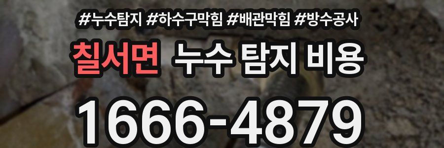 칠서면 누수 탐지 비용