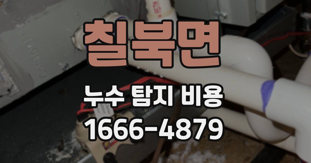칠북면 누수 탐지 비용