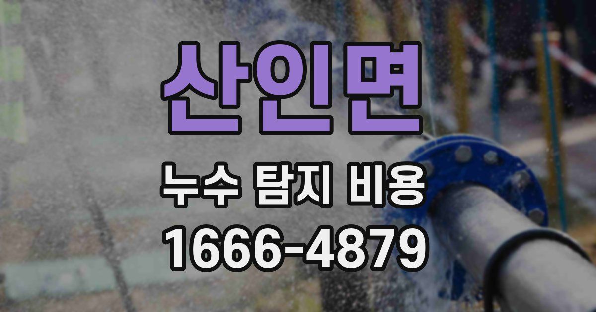 산인면 누수 탐지 비용