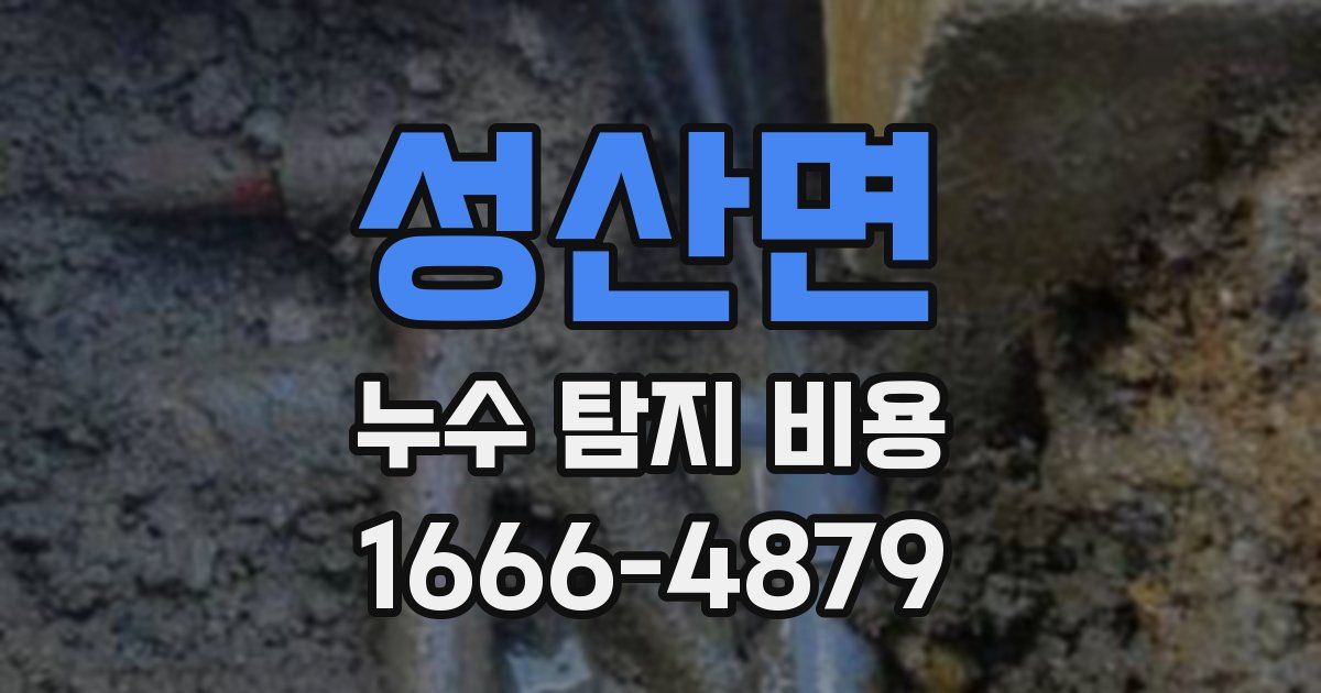 성산면 누수 탐지 비용