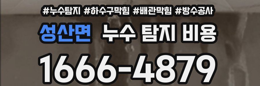 성산면 누수 탐지 비용