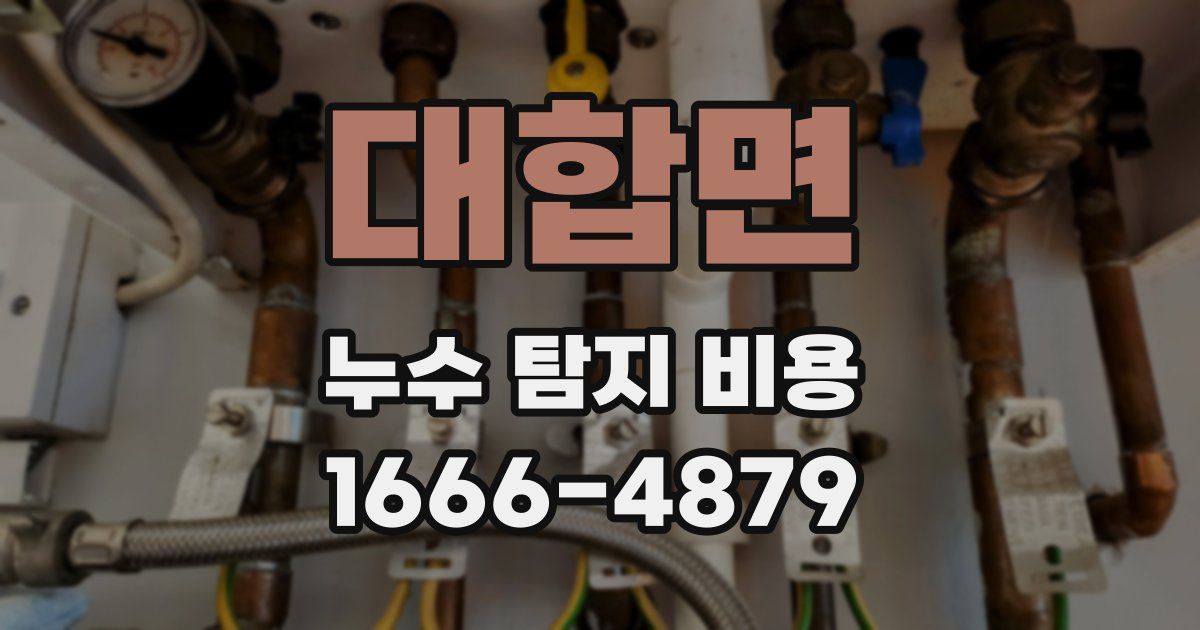 대합면 누수 탐지 비용