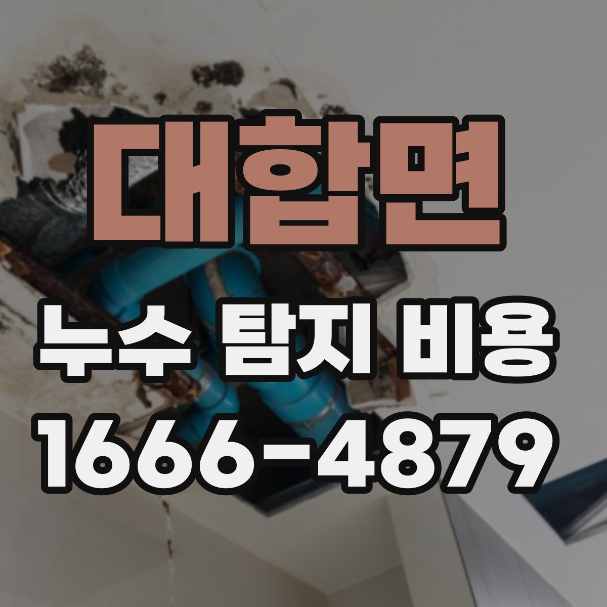 대합면 누수 탐지 비용
