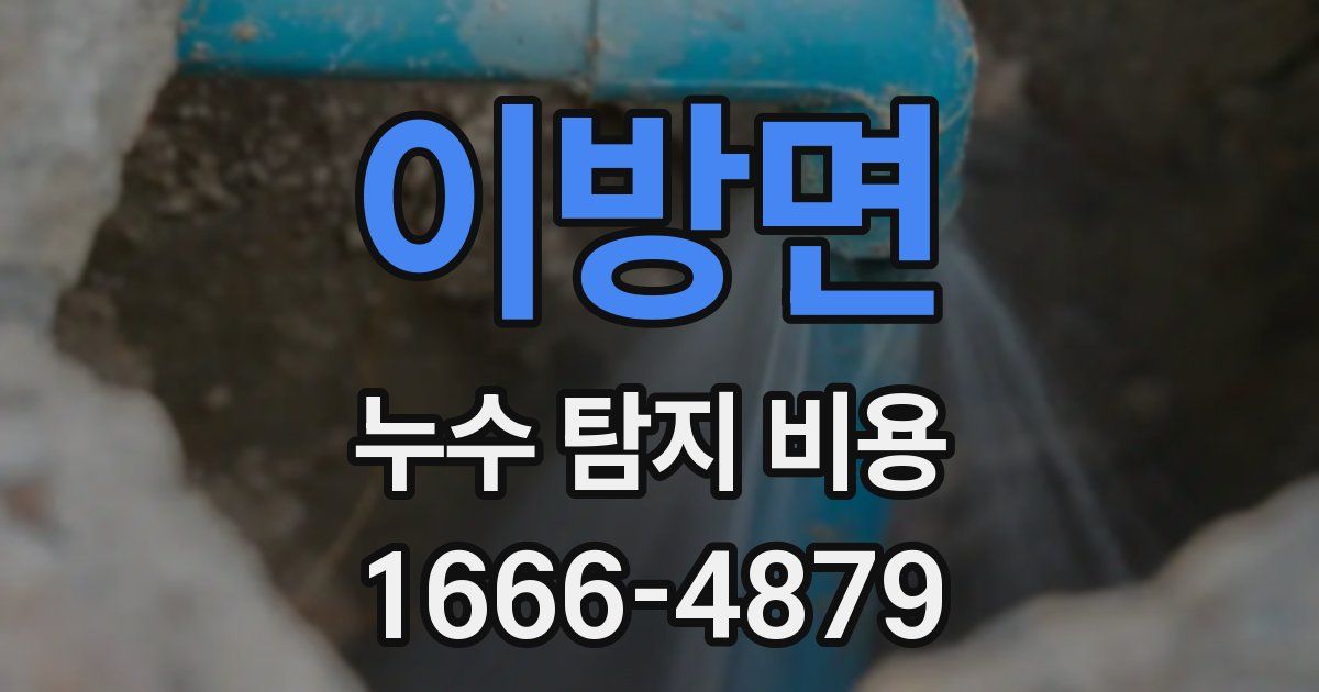 이방면 누수 탐지 비용