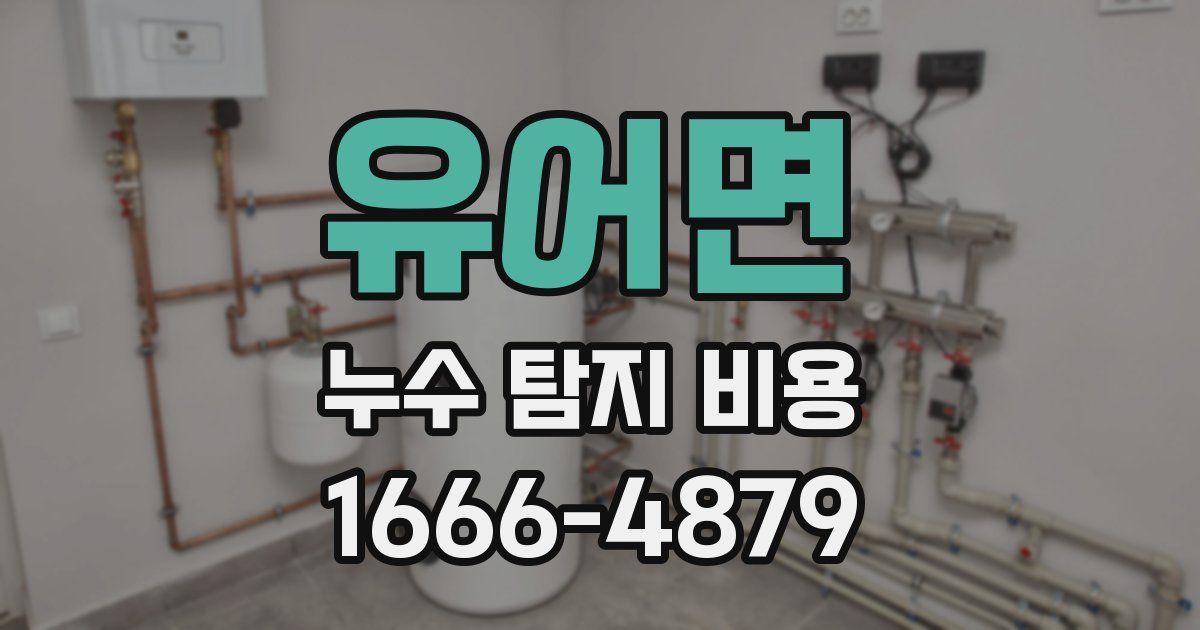 유어면 누수 탐지 비용