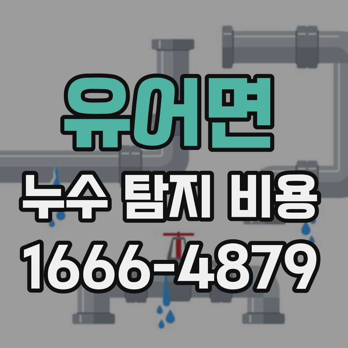 유어면 누수 탐지 비용
