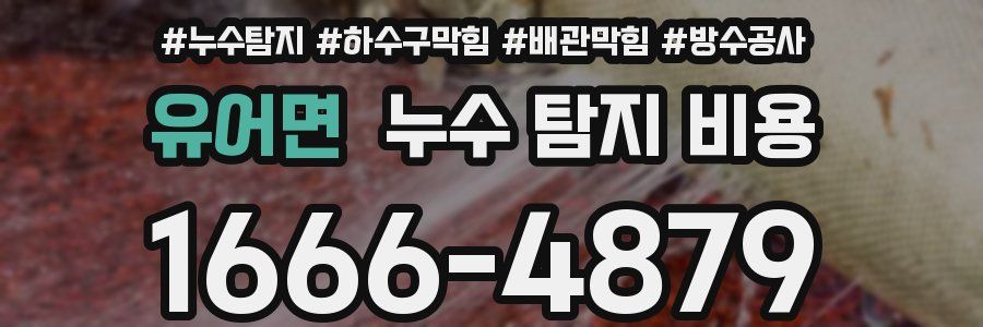 유어면 누수 탐지 비용