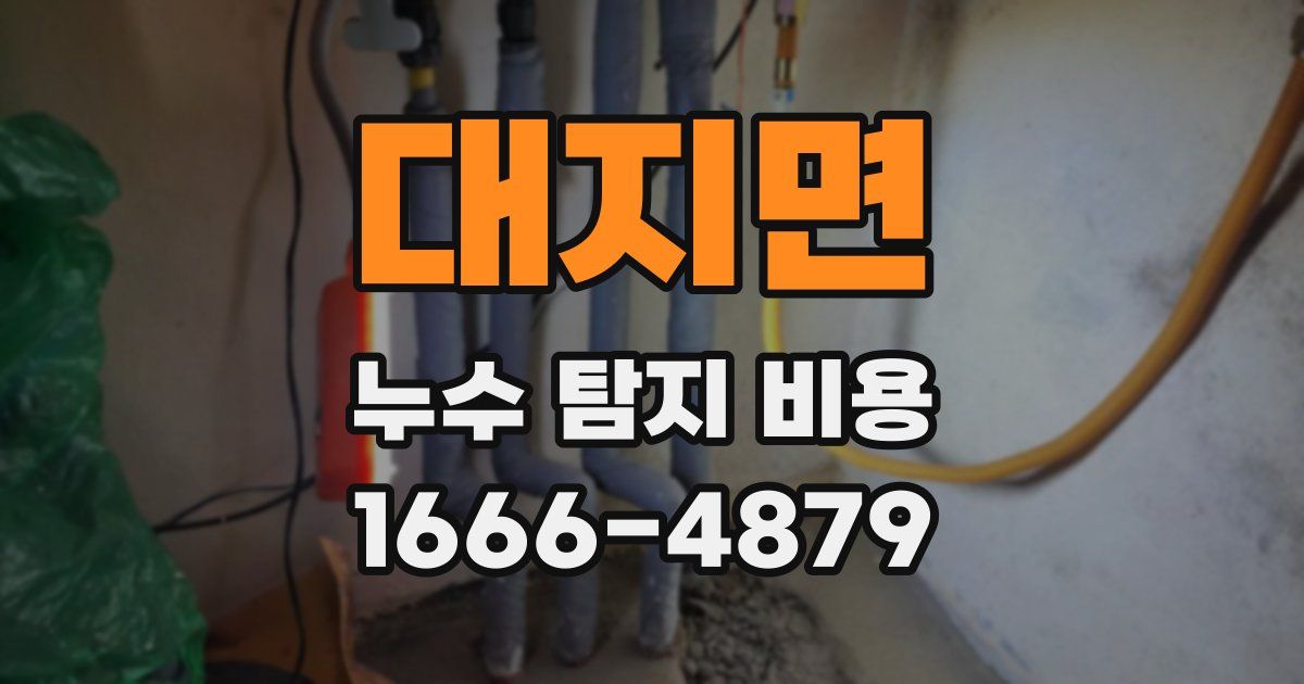 대지면 누수 탐지 비용