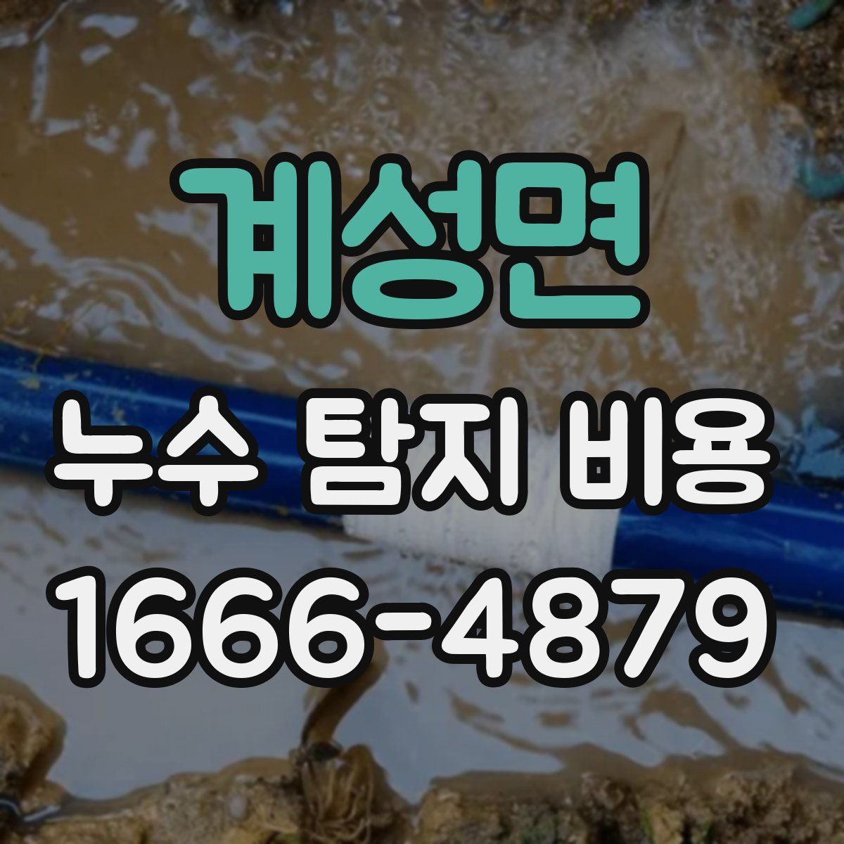 계성면 누수 탐지 비용