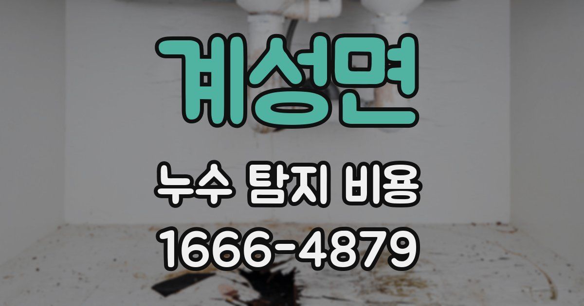 계성면 누수 탐지 비용