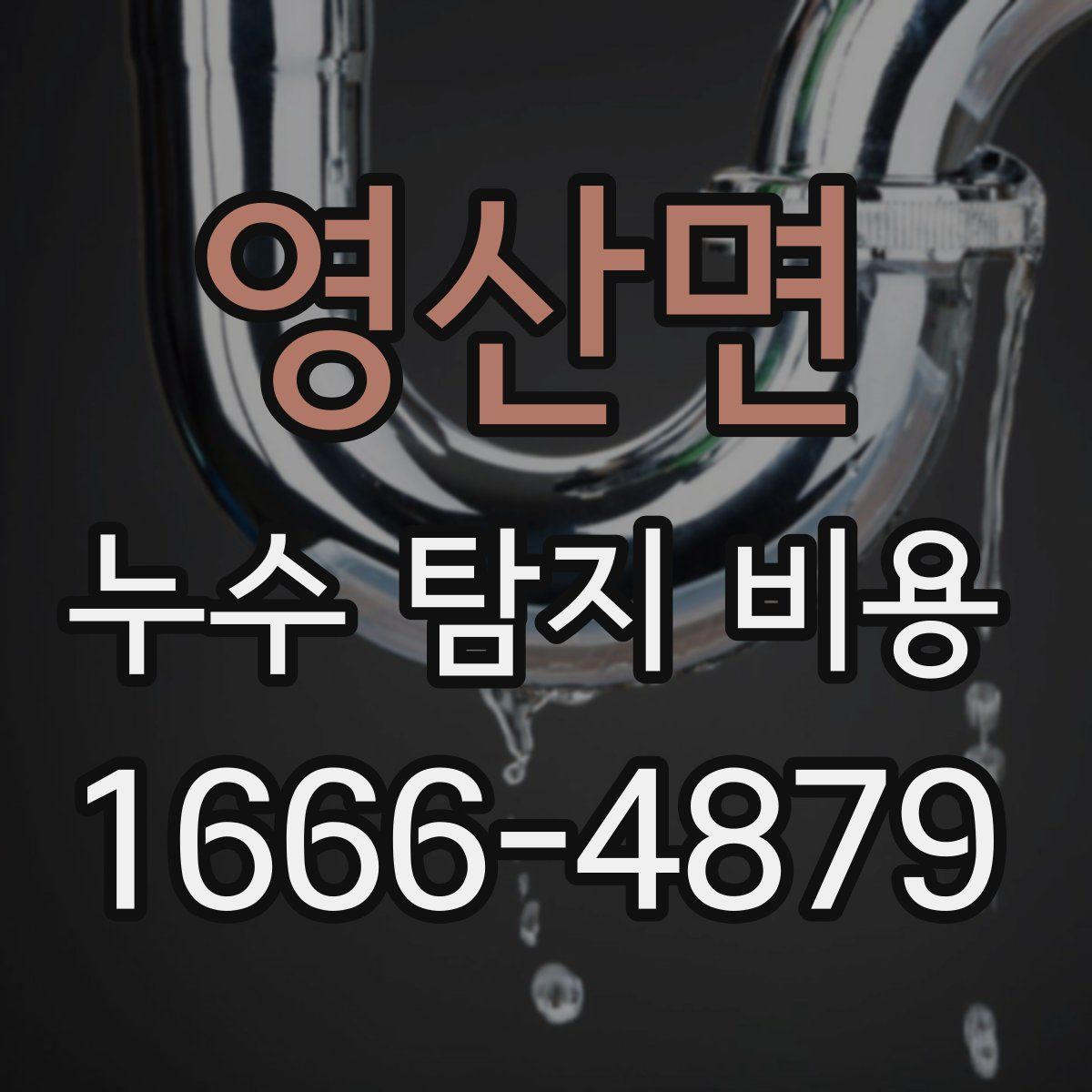 영산면 누수 탐지 비용