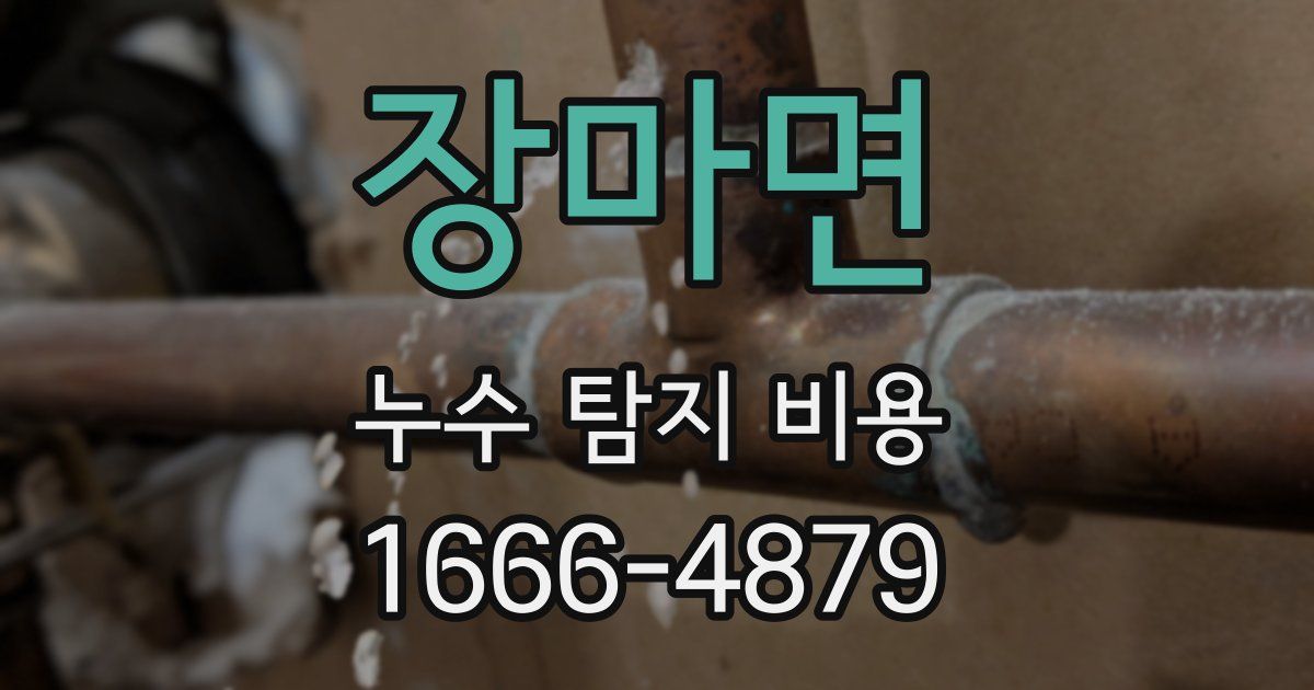 장마면 누수 탐지 비용