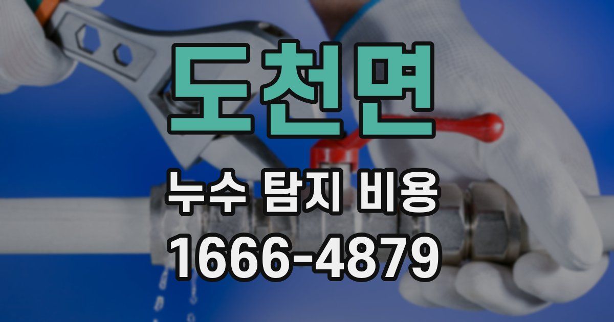 도천면 누수 탐지 비용