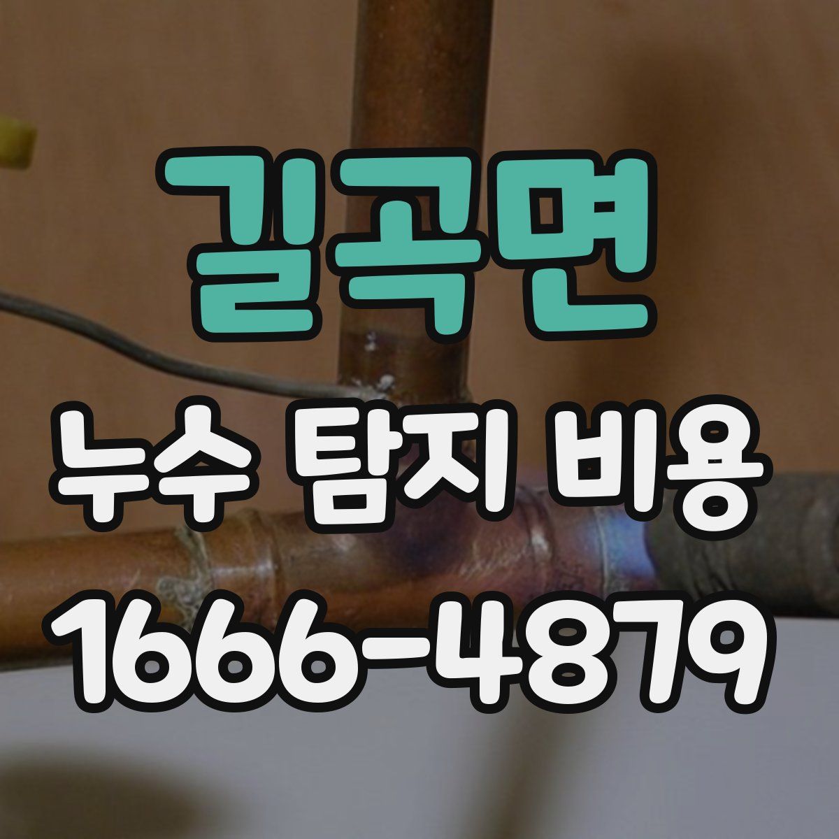 길곡면 누수 탐지 비용