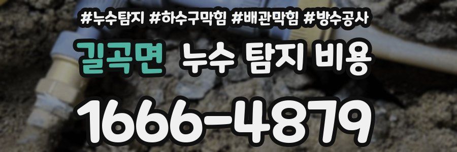 길곡면 누수 탐지 비용