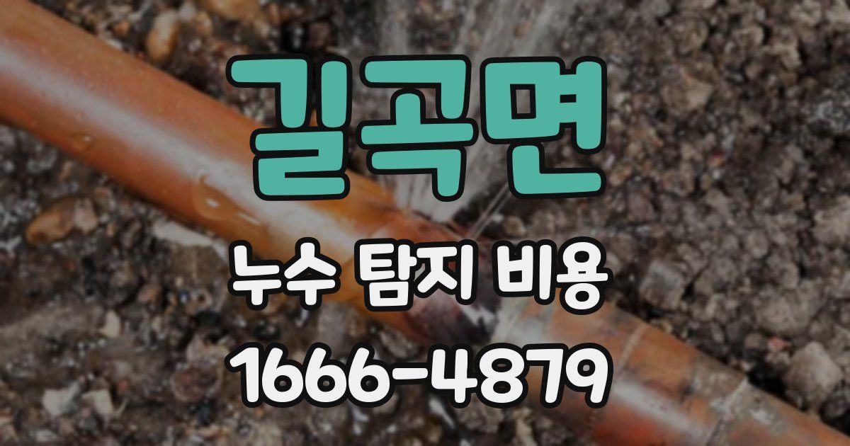 길곡면 누수 탐지 비용